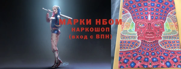 ECSTASY Богданович