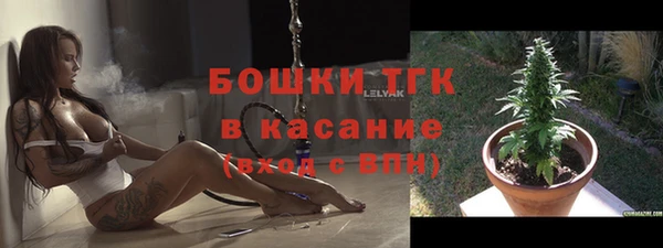 гидропоника Бородино
