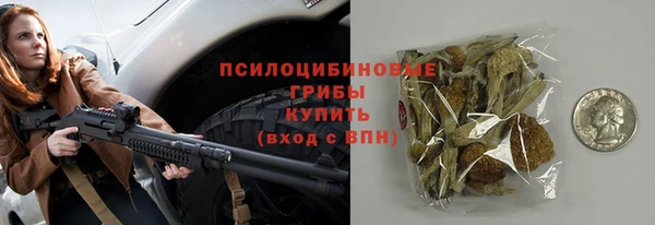 гашик Богородицк