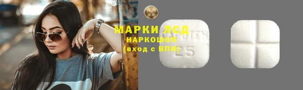 гидропоника Бородино