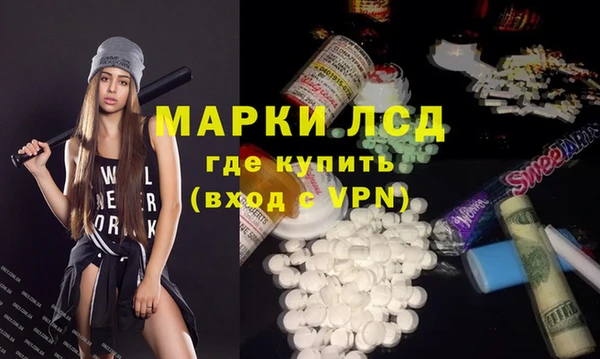 ECSTASY Богданович