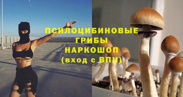 бошки Бугульма