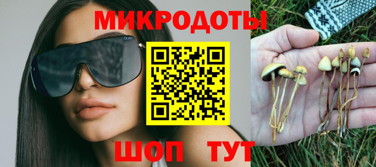 Псилоцибиновые грибы мицелий  Вход с VPN  Бутурлиновка 